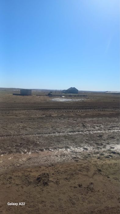 Продам крестьянское хозяйство