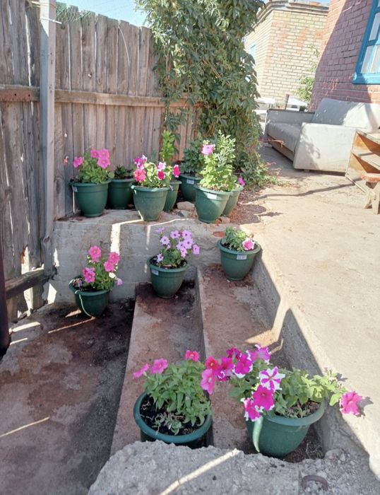 Продам дачу на Вавилова