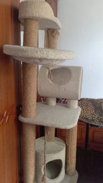 Когтеточка для кота