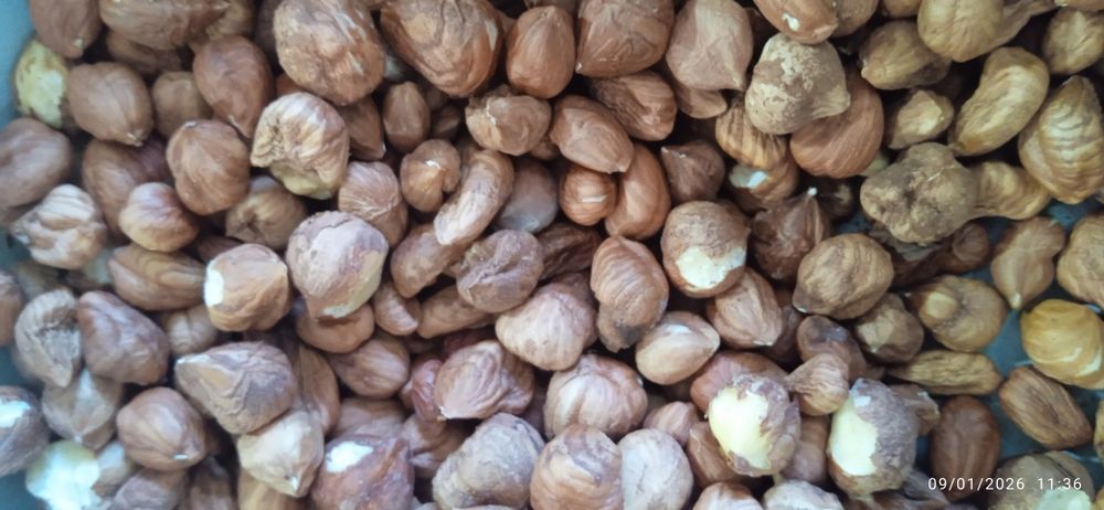 Продавам лешници  черупка и ядка .цена за ядка 20 лева а за черупка 10