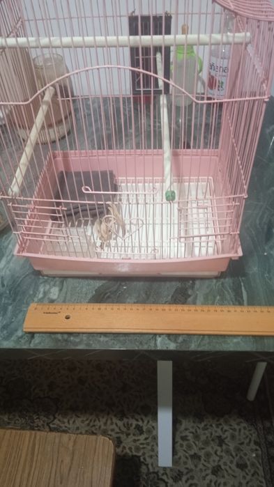 Клетка. для.  попугайчиков.