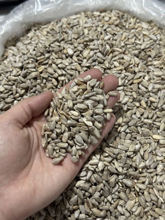 Семечки ядра семечек pista mag'izi очищенные семечки