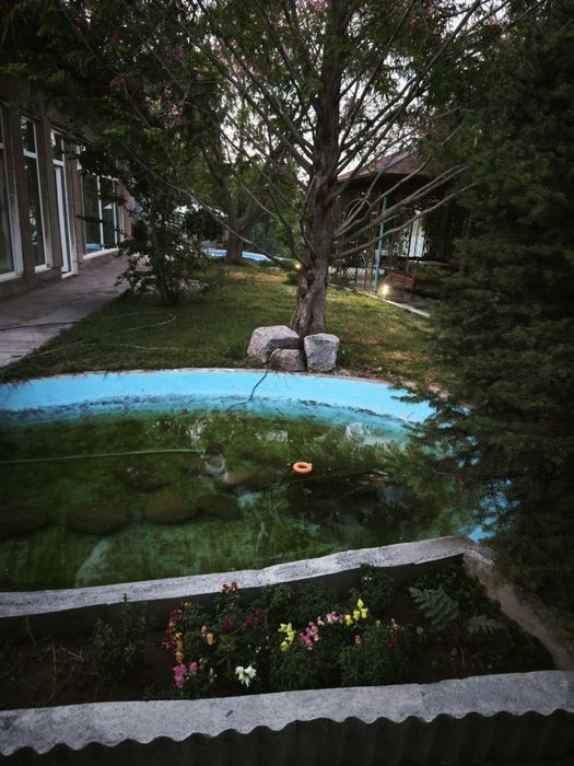 Дача аренда Dacha bor