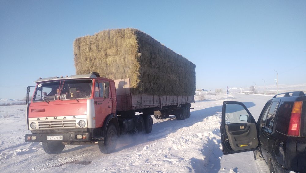 Тюковые сено Житняк Разнотравья