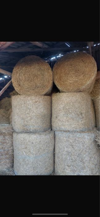 Vand baloti paie mari