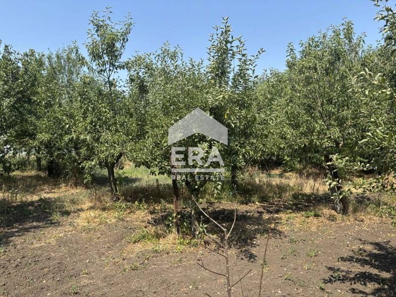 Ексклузивно!  Парцел  за продажба с партида за ток в село Момчилово, о