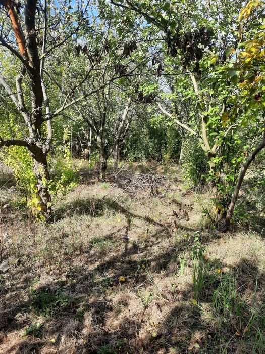 Teren de casa 610 MP