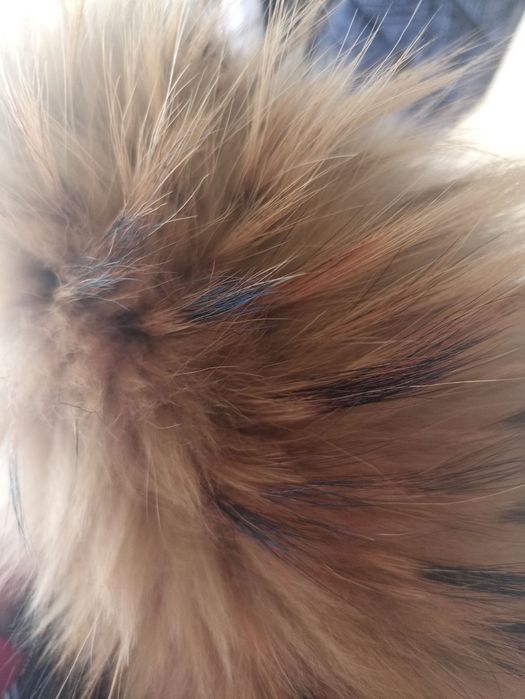 Детско яке Moncler