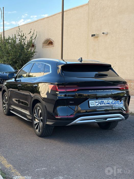 Byd chempion GIBRID 110 tali