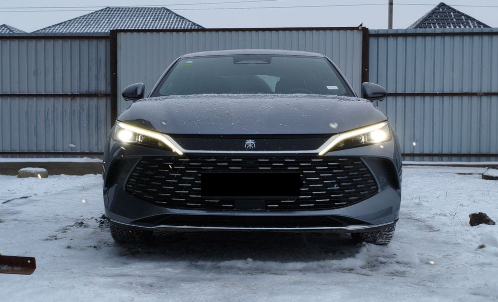 Qin L DM-I Максималка