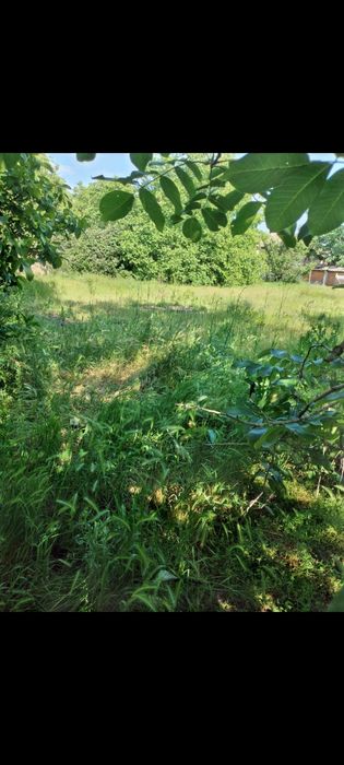 Продава се Парцел в с. Бръшлен, Област Русе - 1495 кв.м за 6 €/кв.м - Снимка #2