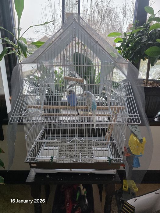 Perusi si accesorii peruși