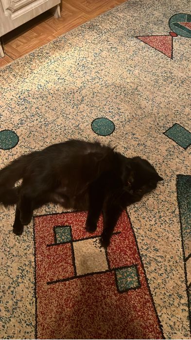 Отдам в хорошие руки