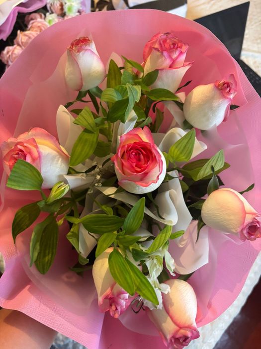 Бүгінгі свежый гул!