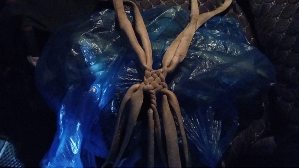 Нагрудник и нахвостник на коня