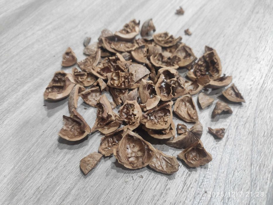 Скорлупа грецких орехов