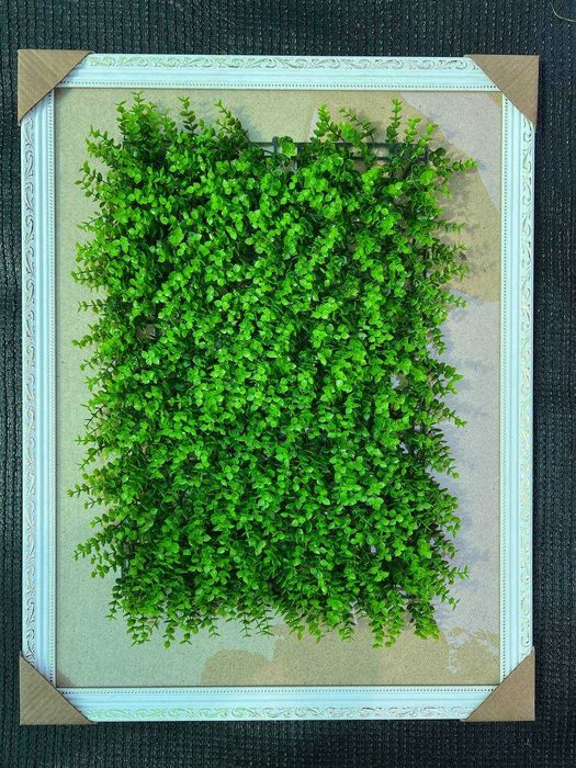 Декоративная зелень на стену - Фитостена