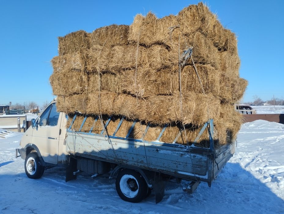 Тюки для животных