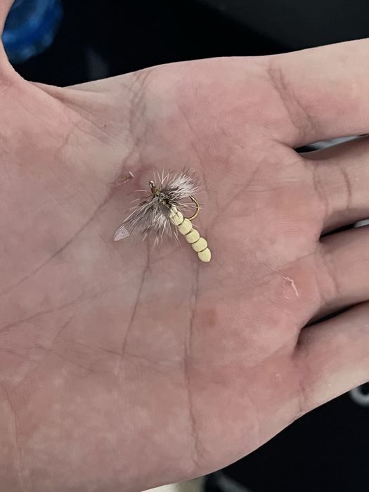 Ръчно изработени мухи и нимфи за риболов на пъстърва и кефал