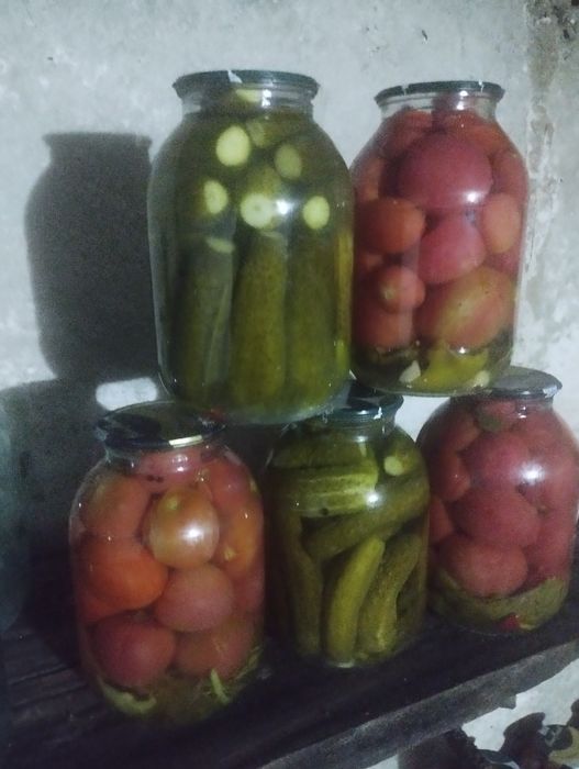 Продам огурцы помидоры