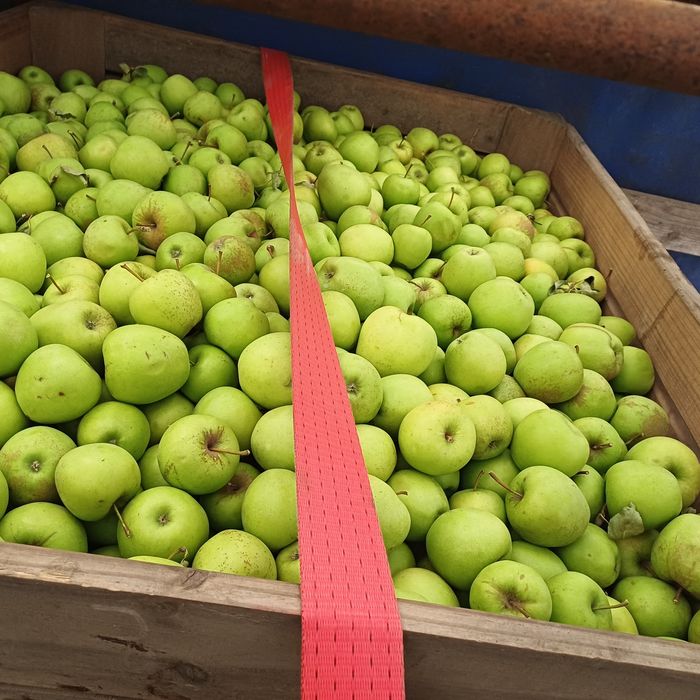 3,5 lei Vând mere Golden delicios și Florina