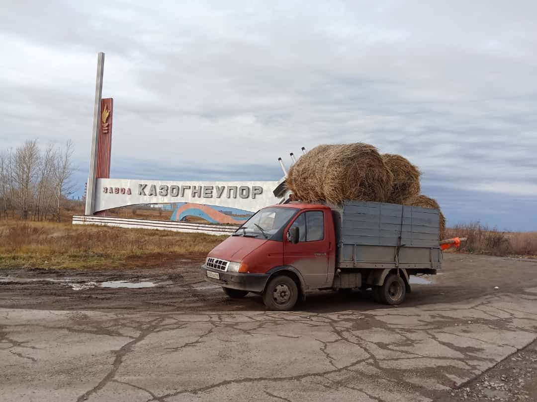 Сено рулон отруби машина без тента: 5 005 тг. - Корма для сельхоз животных  Рудный на Olx