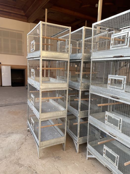 Qafas Valer sotiladi