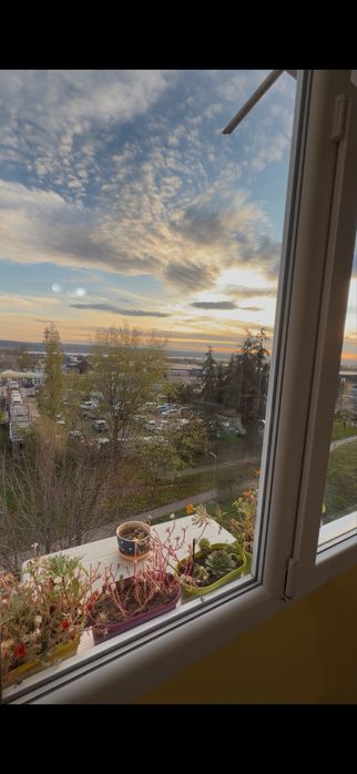 Почистване на прозорци