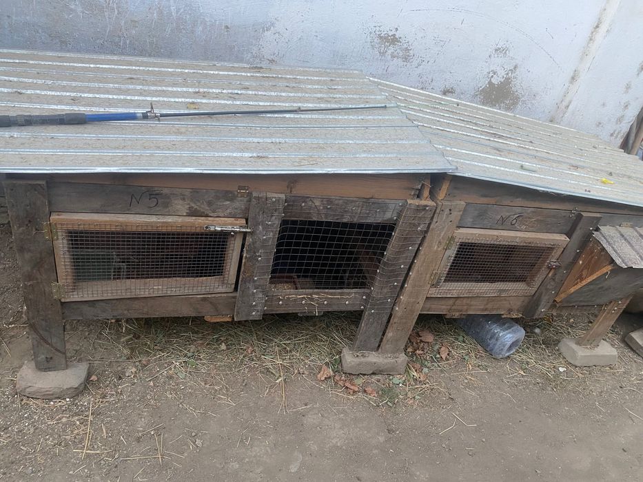 Продам кролЯтники
