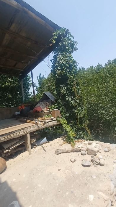 Дача сотилади 16 сотих