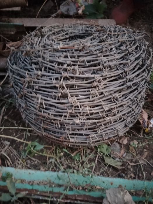 Колючая Проволока