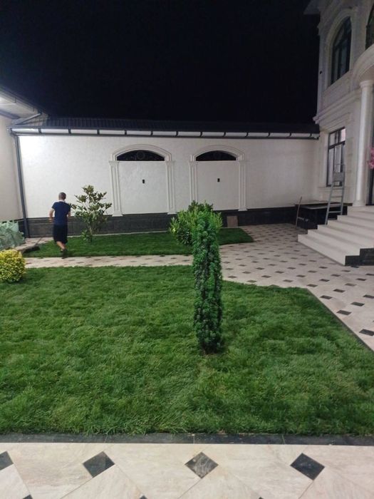 Yevro gazon yashil makon