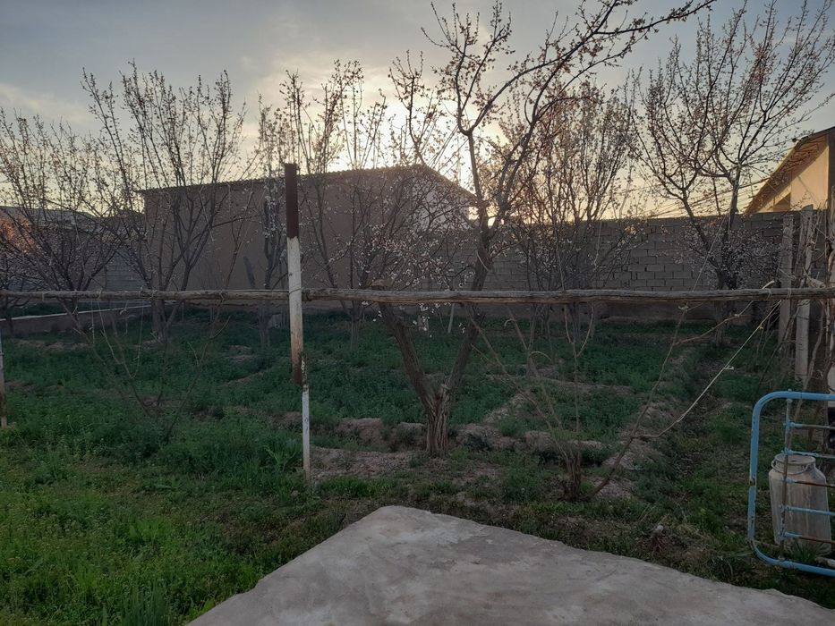 Yer sotiladi 8 sutix