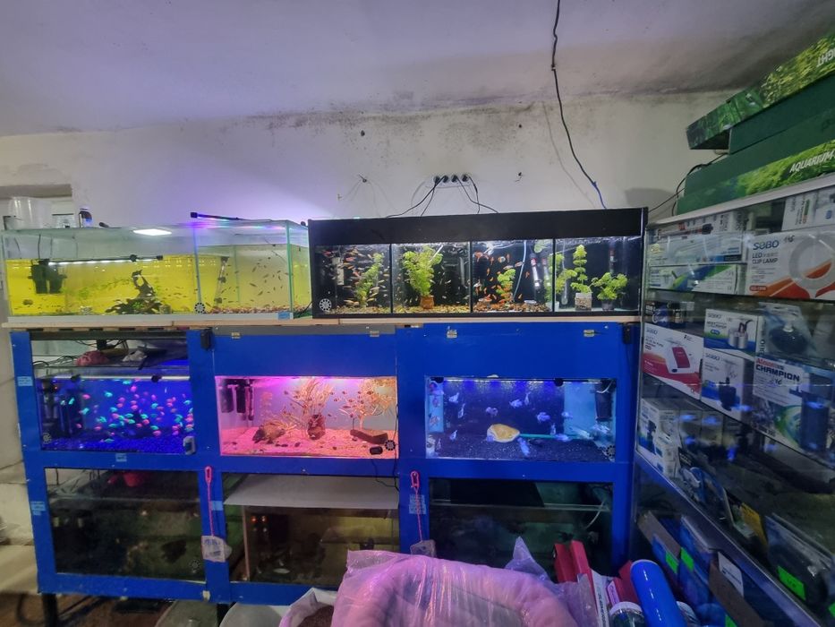 Стелаж аквариумлари билан комплект хамма нерсаси билан