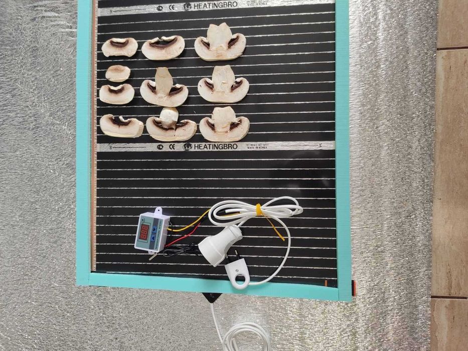 Сушилня за пчелен прашец, гъби, плодове, билки и др бюджетна АРНО