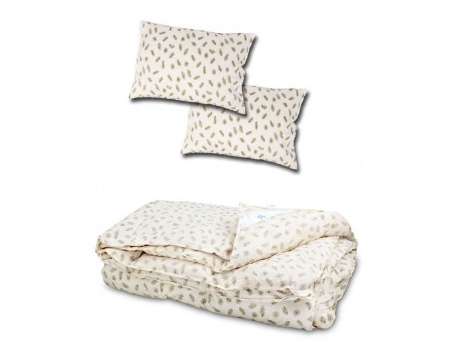 Set Pilota de iarna pentru pat dublu 2 perne din puf gasca