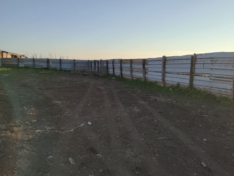 Продам крестьянское хозяйство