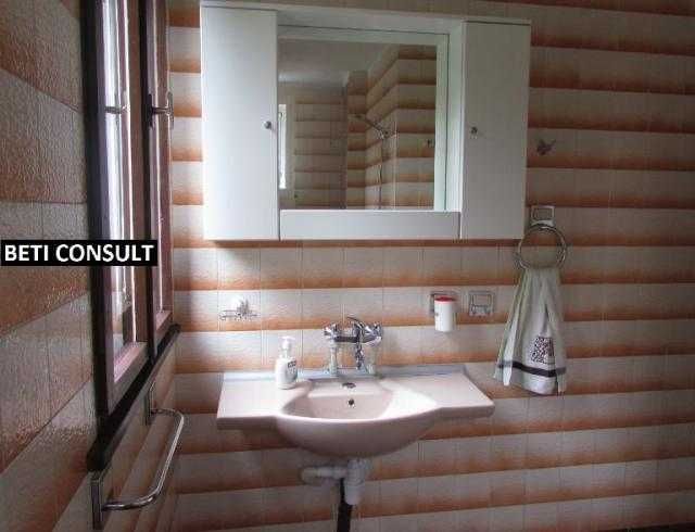 Стая под наем - Борово