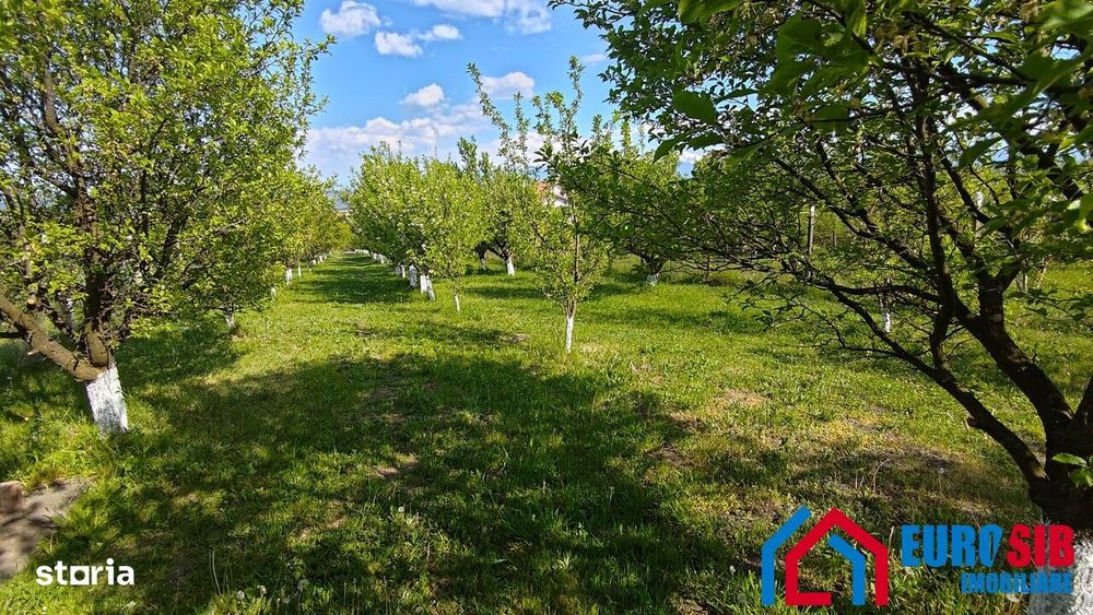 Teren intravilan 1000 mp in Sibiu Daia Noua