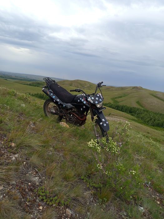 Racer pantera lait C2A
