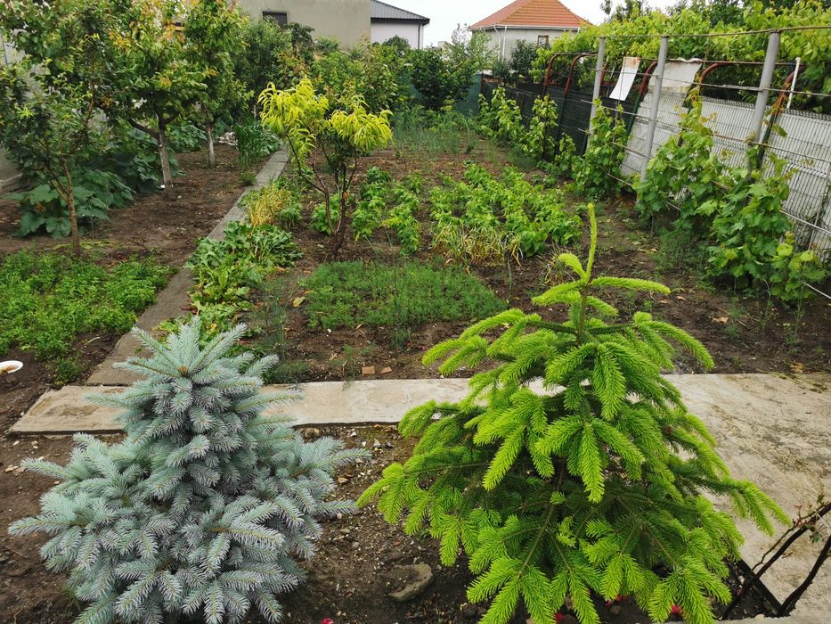 Casa de vânzare sau schimb cu apartament 2 camere decomandate in Constanța