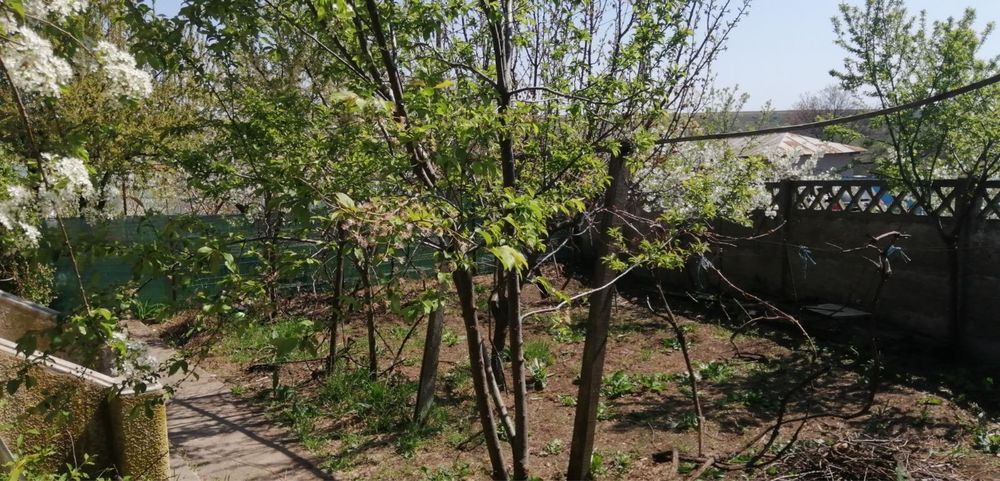 Casă  cu teren  789 metri pătrați Cismele