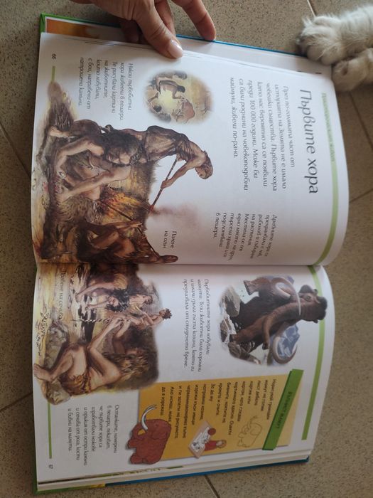 4 книги/енциклопедии - в комплект