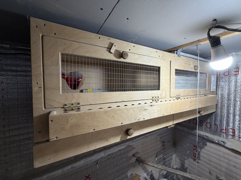 Толық автоматтандырылған брудер сатылады