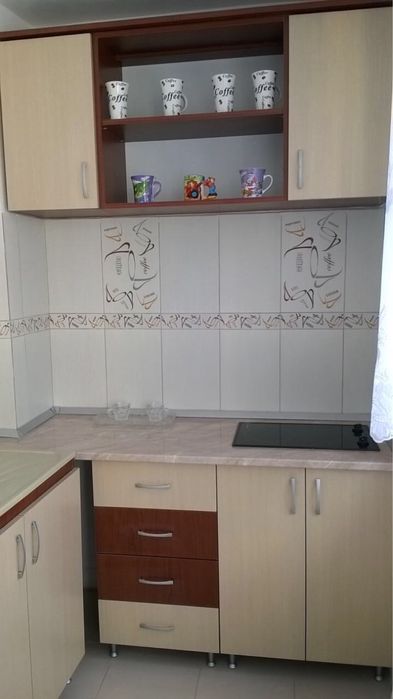 Chirie 2 camere rogerius