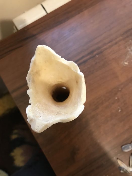 Ваза продается из кости.