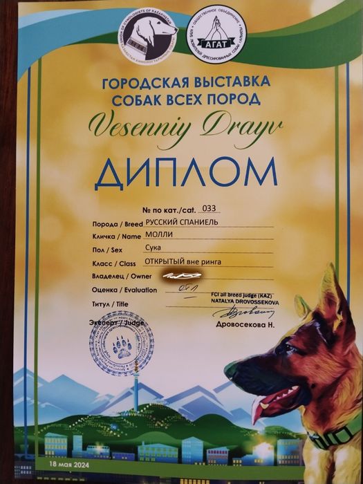 Русский спаниель