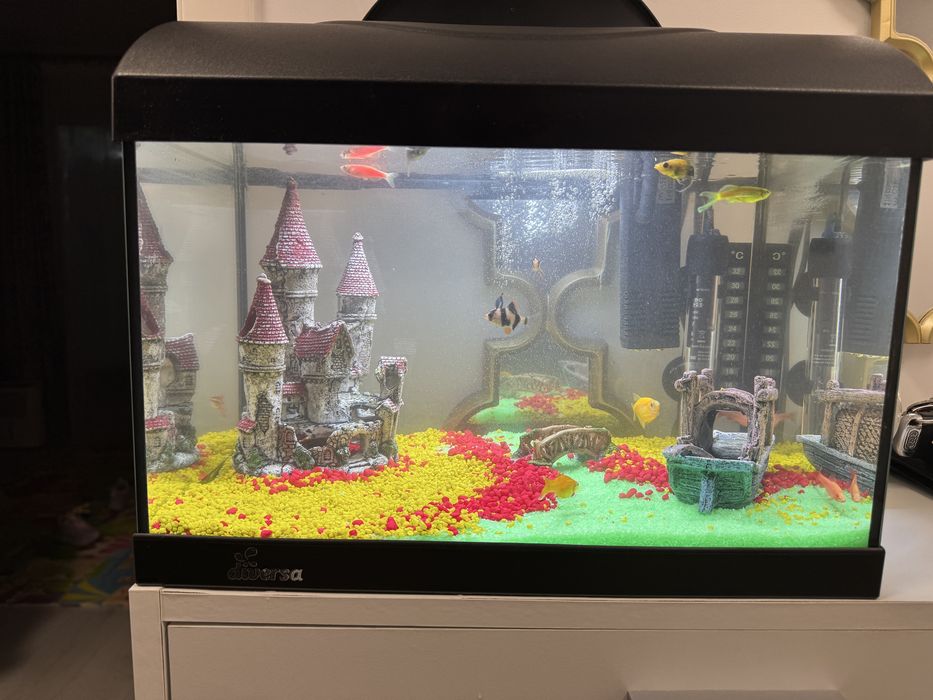 Acvariu complet echipat