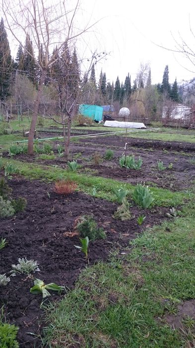 Продам дачу за селом тарханка