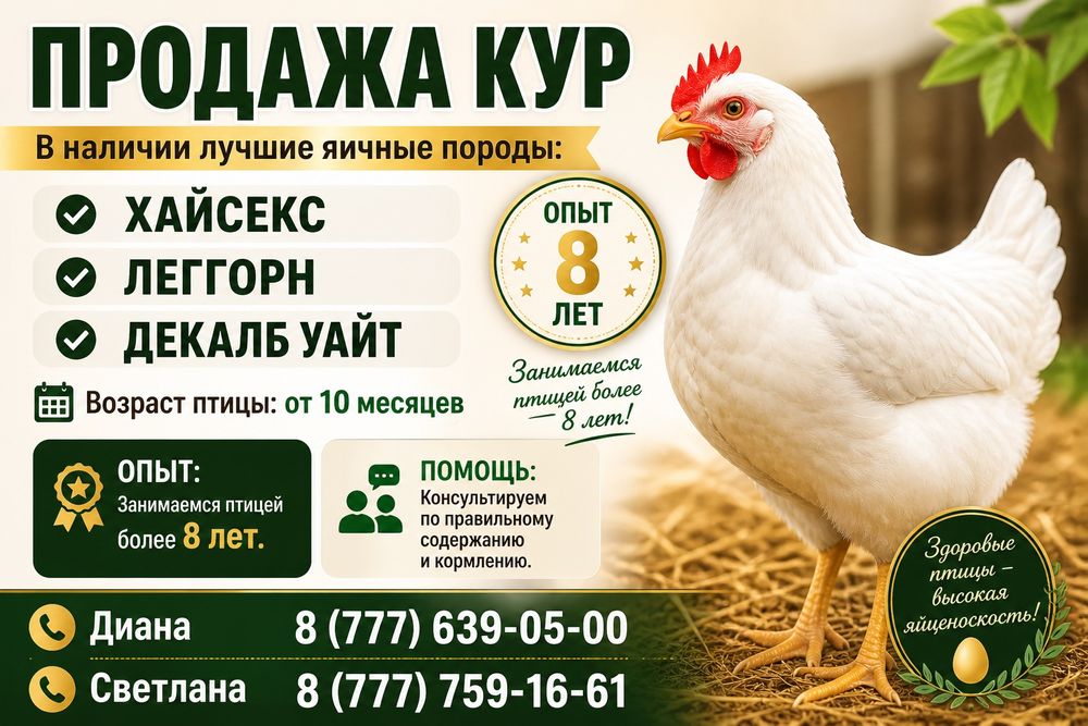 Несушка Екатеринбург